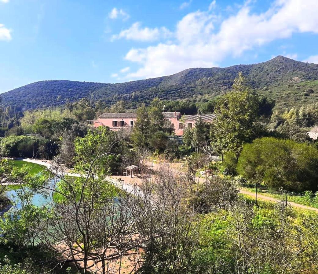 Villa La Fattoria Delle Tartarughe San Gregorio  Exterior foto