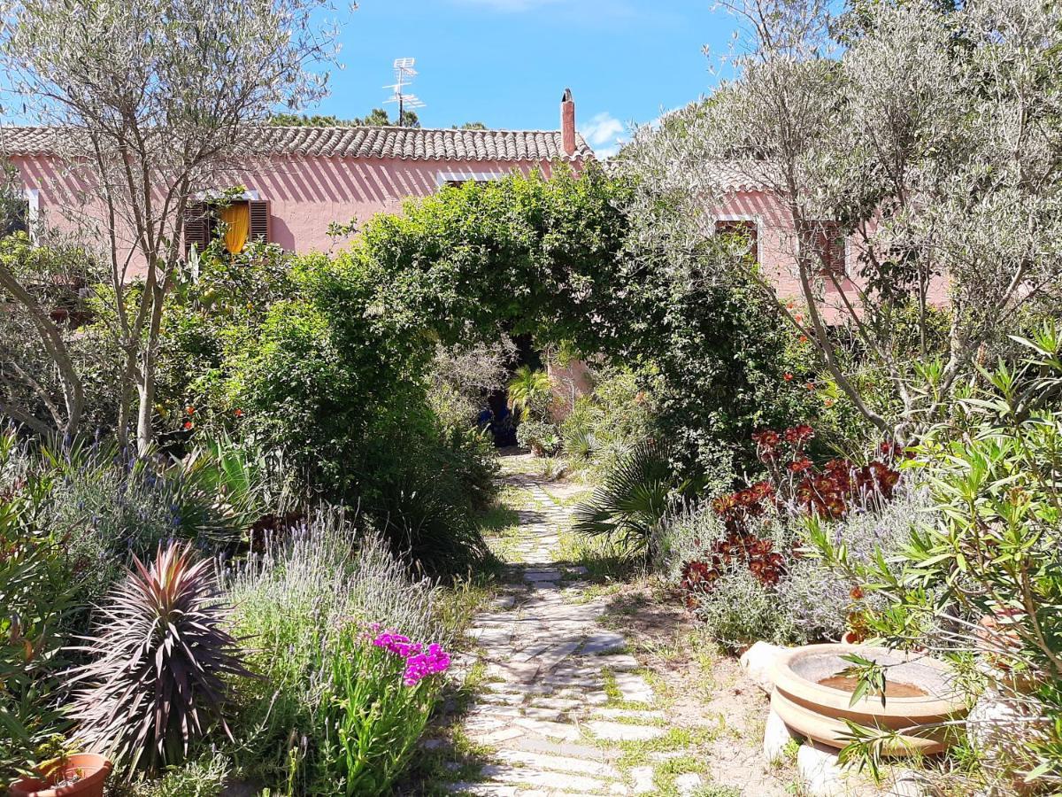 Villa La Fattoria Delle Tartarughe San Gregorio  Exterior foto