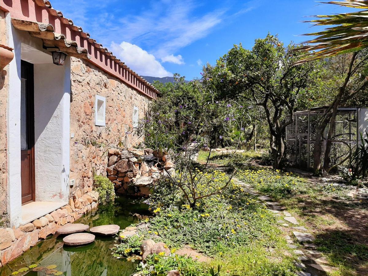 Villa La Fattoria Delle Tartarughe San Gregorio  Exterior foto