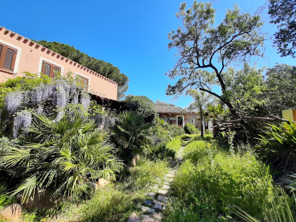 Villa La Fattoria Delle Tartarughe San Gregorio  Exterior foto