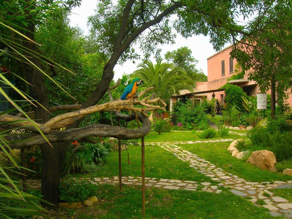 Villa La Fattoria Delle Tartarughe San Gregorio  Exterior foto