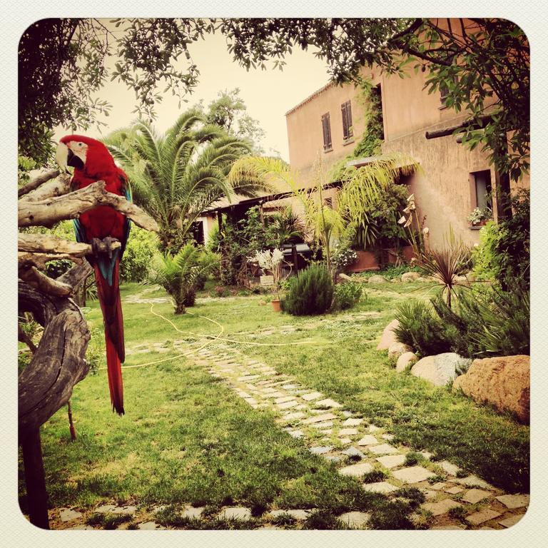 Villa La Fattoria Delle Tartarughe San Gregorio  Exterior foto