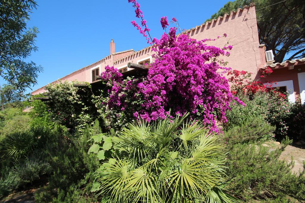 Villa La Fattoria Delle Tartarughe San Gregorio  Exterior foto
