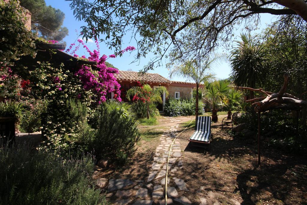 Villa La Fattoria Delle Tartarughe San Gregorio  Exterior foto