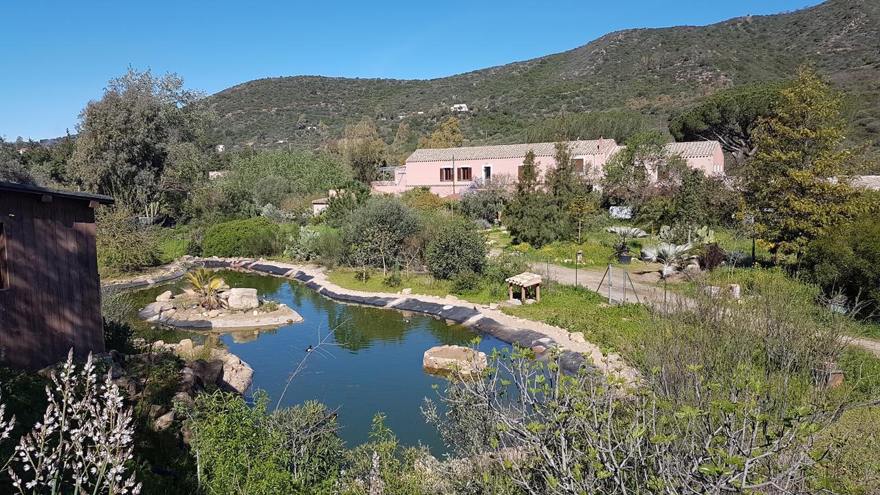 Villa La Fattoria Delle Tartarughe San Gregorio  Exterior foto
